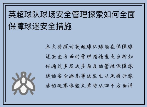 英超球队球场安全管理探索如何全面保障球迷安全措施