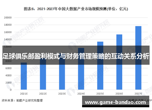 足球俱乐部盈利模式与财务管理策略的互动关系分析