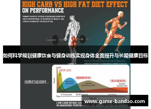 如何科学规划健康饮食与健身训练实现身体全面提升与长期健康目标