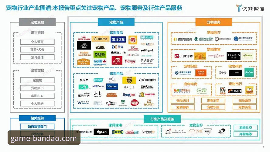 半岛体育官网深度分析：从下载安装到安全验证全流程解析